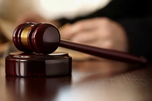 Juicio al Estado