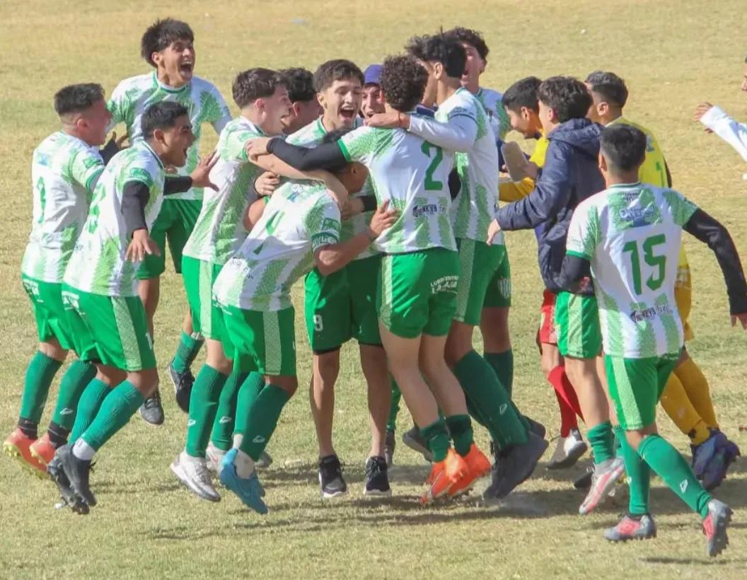 Screenshot_20260202-153333