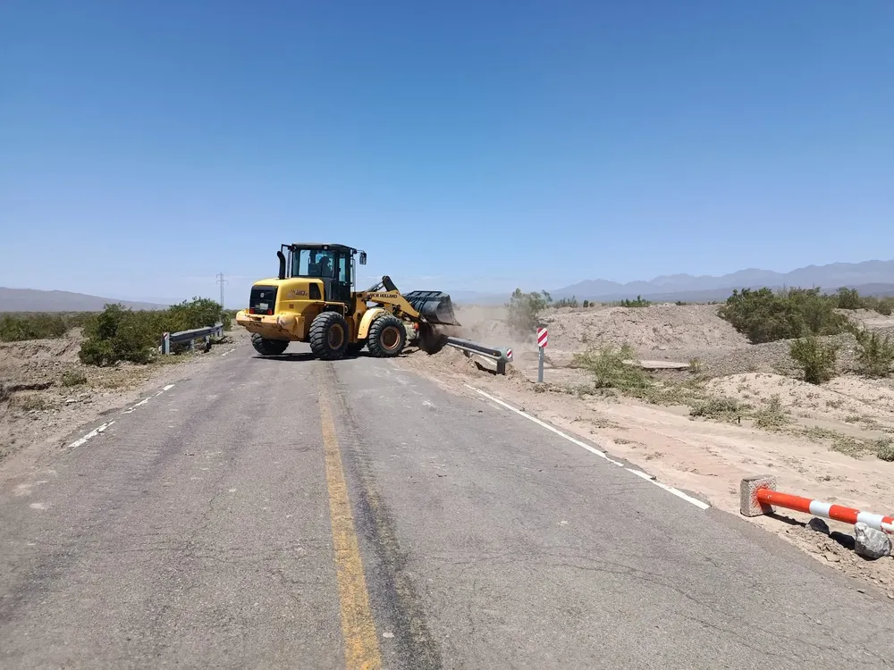 WhatsApp Image 2026-02-14 at 11.00.03