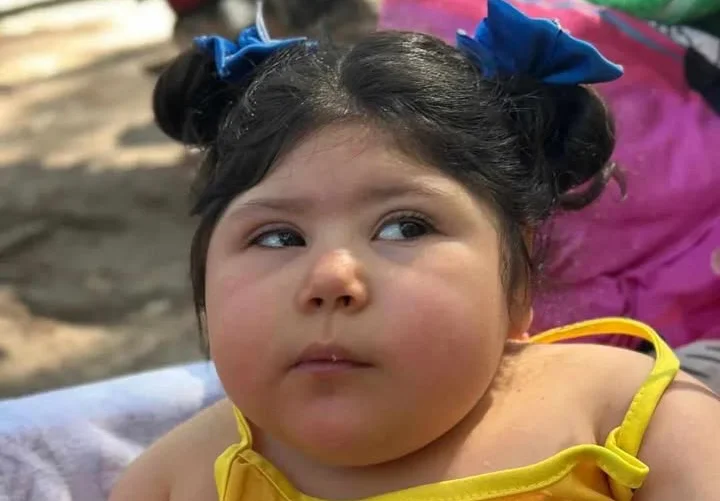 668735485_1485536336303800_7587704340947508835_n