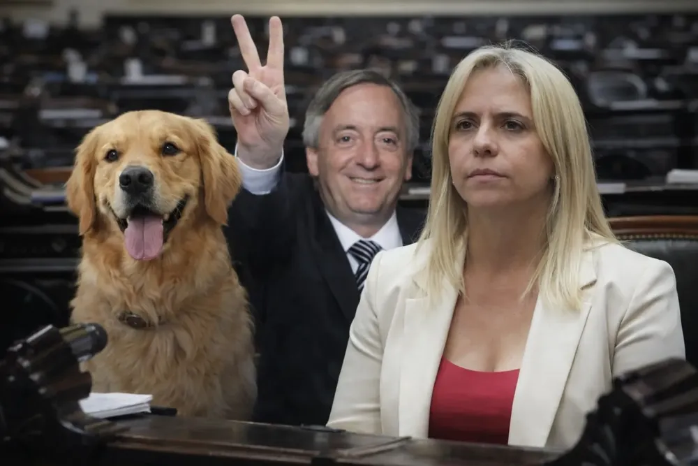 7c80056b-f043-4036-be17-abce10ba9c98