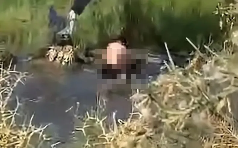 multimedia_normal_929d86b005117da2_bm9ybWFsLndlYnA_