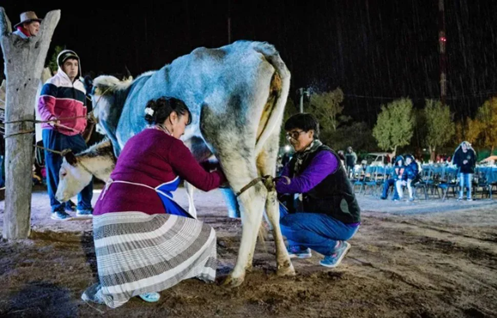 Fiesta del Queso y del Quesillo