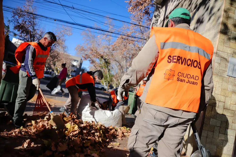 poda servicios limpieza capital