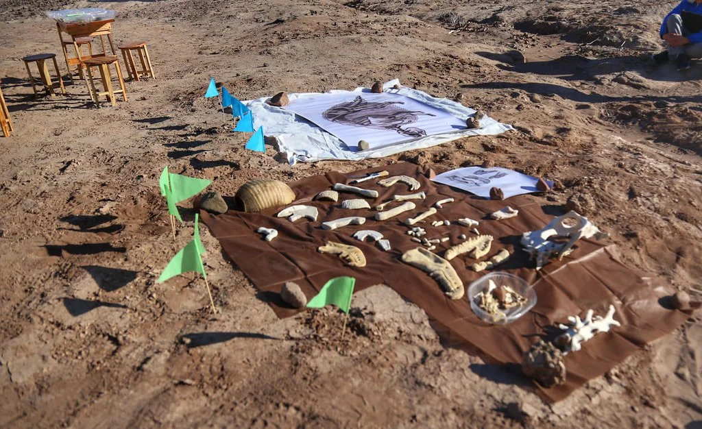 Paleoturismo